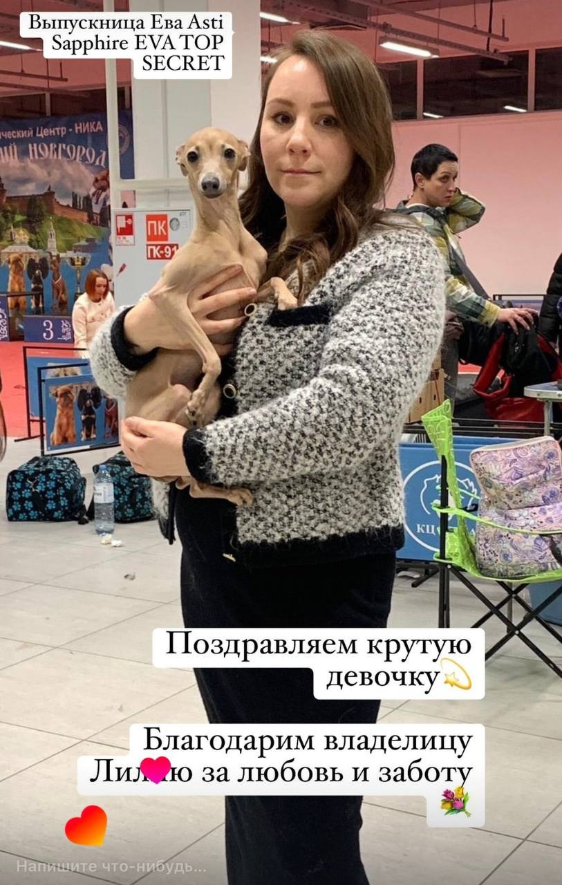 Выпускники ЧЕМПИОНЫ. Профессиональный питомник левреток РКФ/FCI ASTI SAPPHIRE 💎 Сочи|Санкт-Петербург