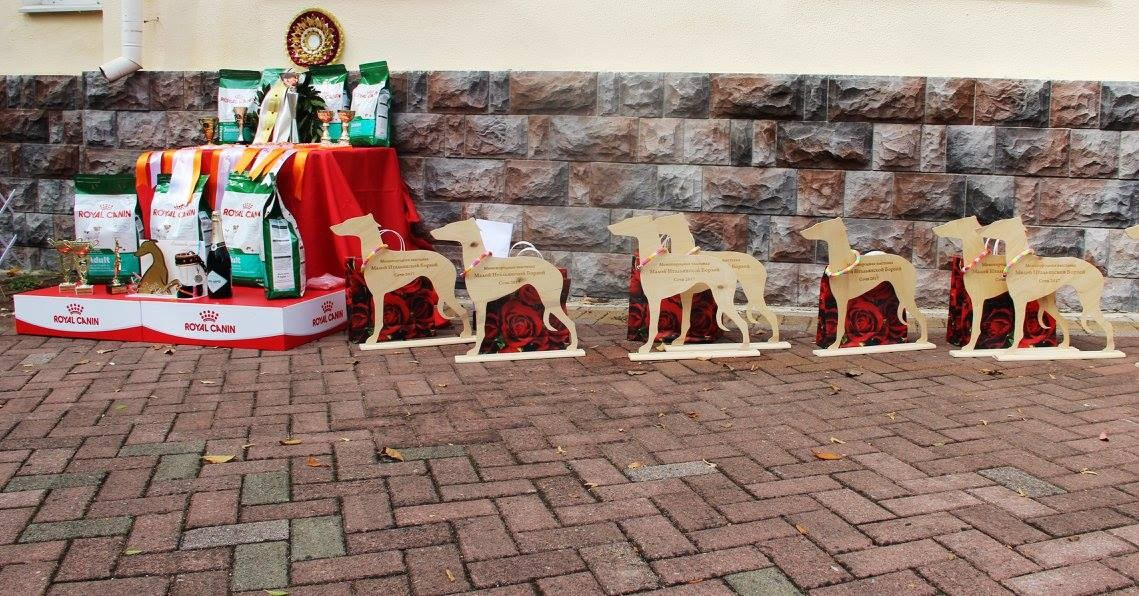 Организация монопородной выставки. Профессиональный питомник левреток РКФ/FCI ASTI SAPPHIRE 💎 Сочи|Санкт-Петербург