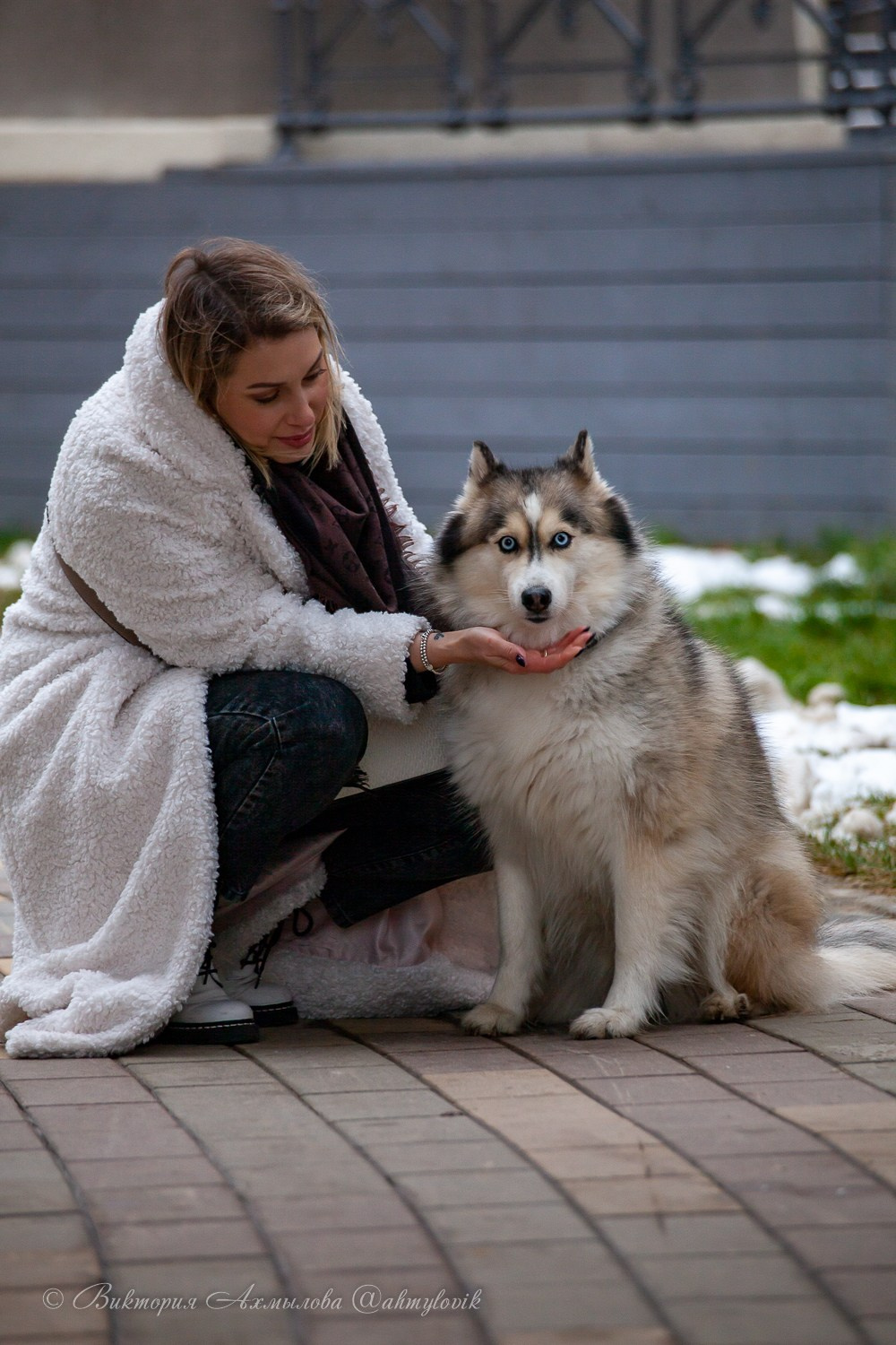 Прогулка с Хаски (Настя). Виктория Ахмылова. Фотограф в Москве