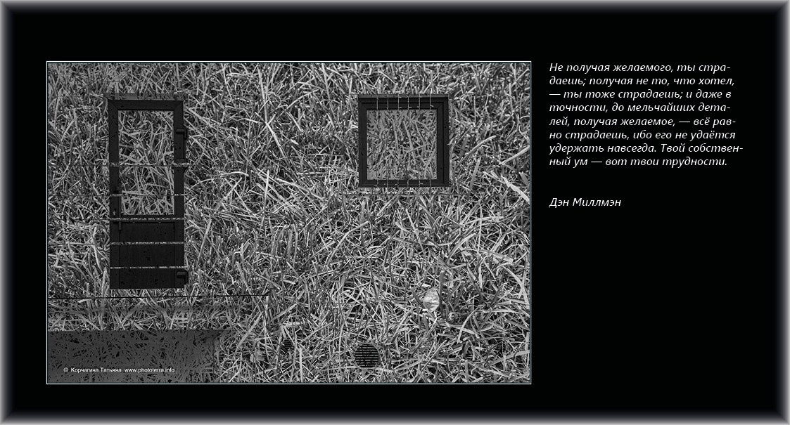 Совет дня — ориентир. Татьяна Корчагина. Фотограф, художник. Обучение фотографии