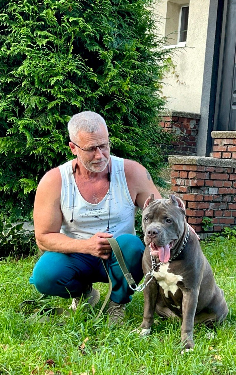 Hunter&Queenie, 13.01.25. Американские булли XL в г. Калининград. Питомник Great Bully UNIVERSE