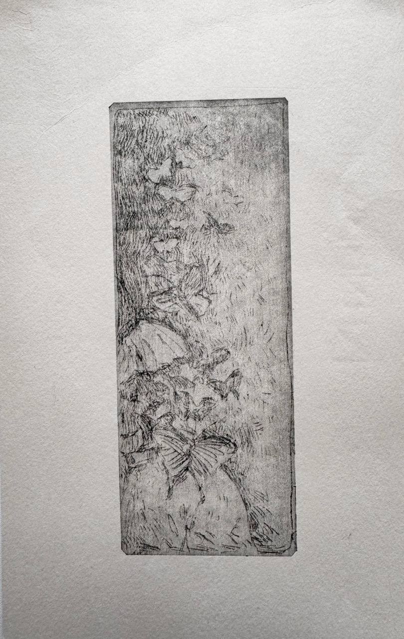 Graphics. Polina Krutova, multimedia artist, curator