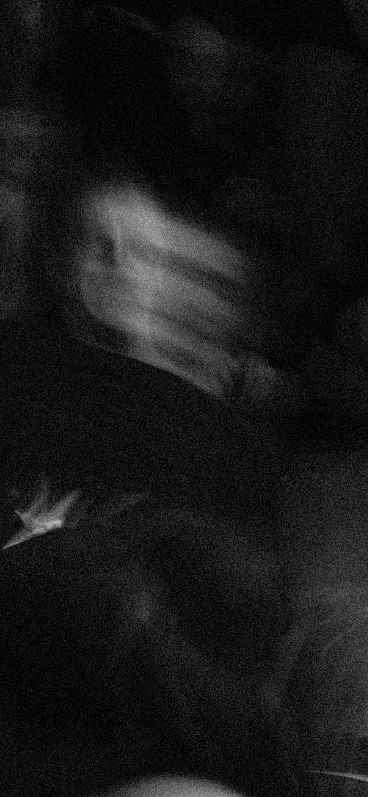 NBD 2023. LIYALEE PHOTO