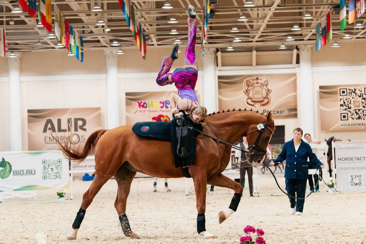 ВОЛЬТИЖИРОВКА — ЧЕМПИОНАТ СНГ. Куракина Дарья • Конный фотограф
