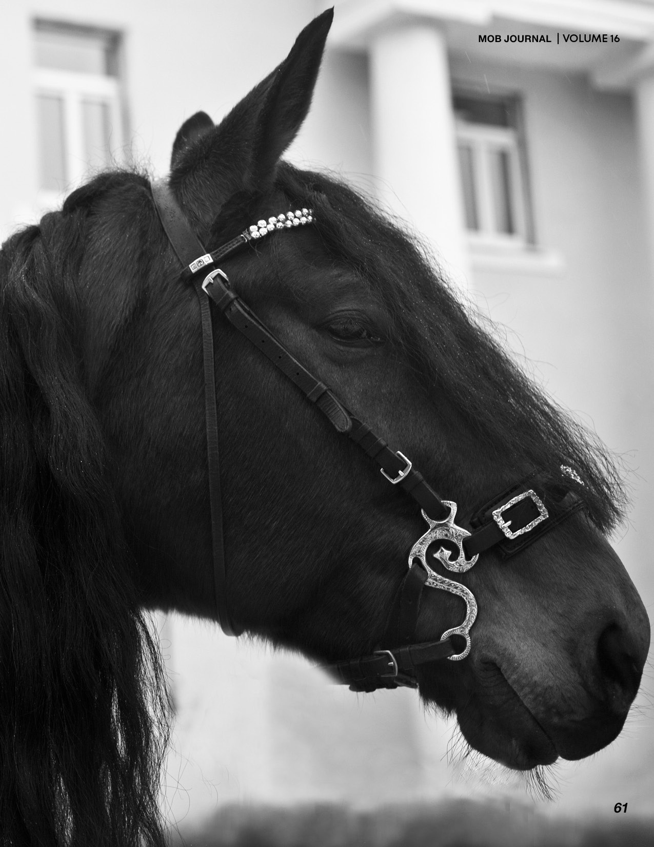Публикации. Фотограф в Москве и Московской области Юлия Полянина