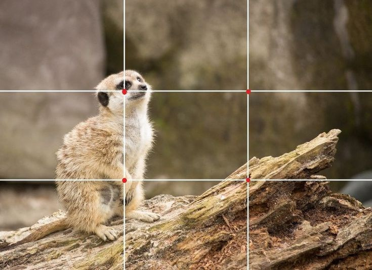 Композиция кадра. Семейный и свадебный фотограф в Майкопе Михаил Мартиросян