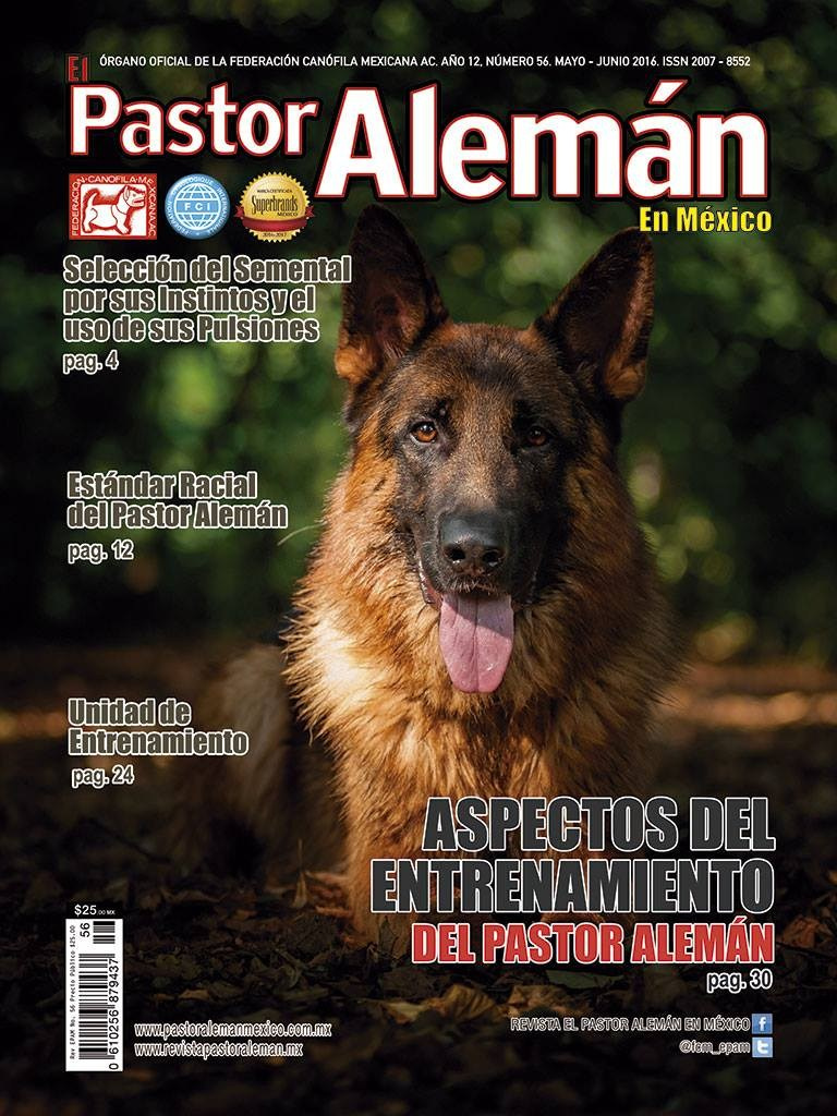 О фотографе TitAnya. Фотограф собак, фотограф-анималист Аня Титова (Titanya). Москва