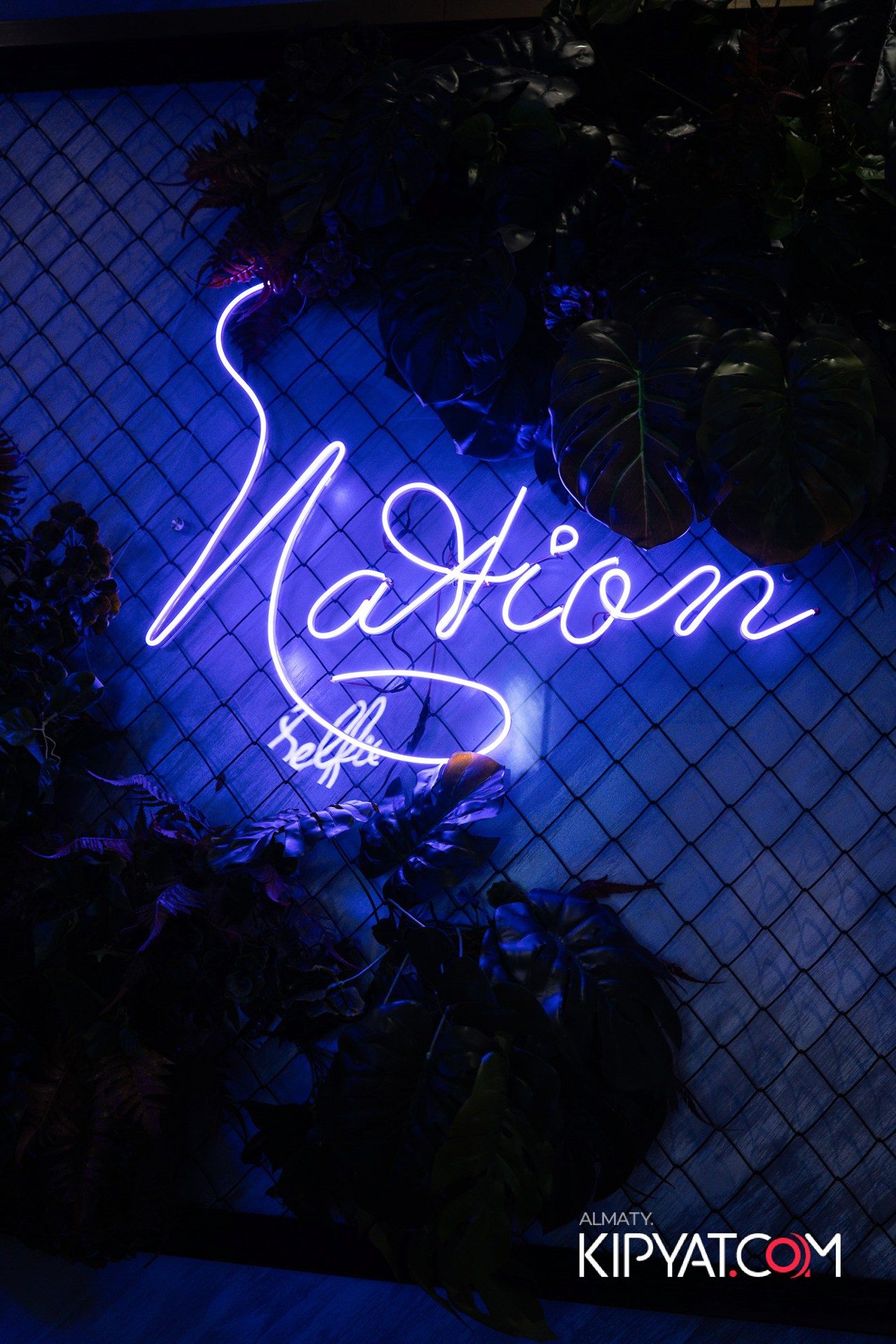 ДОРОГАЯ, Я НЕ ПИЛ. КИПЯТКОМ АЛМАТЫ!