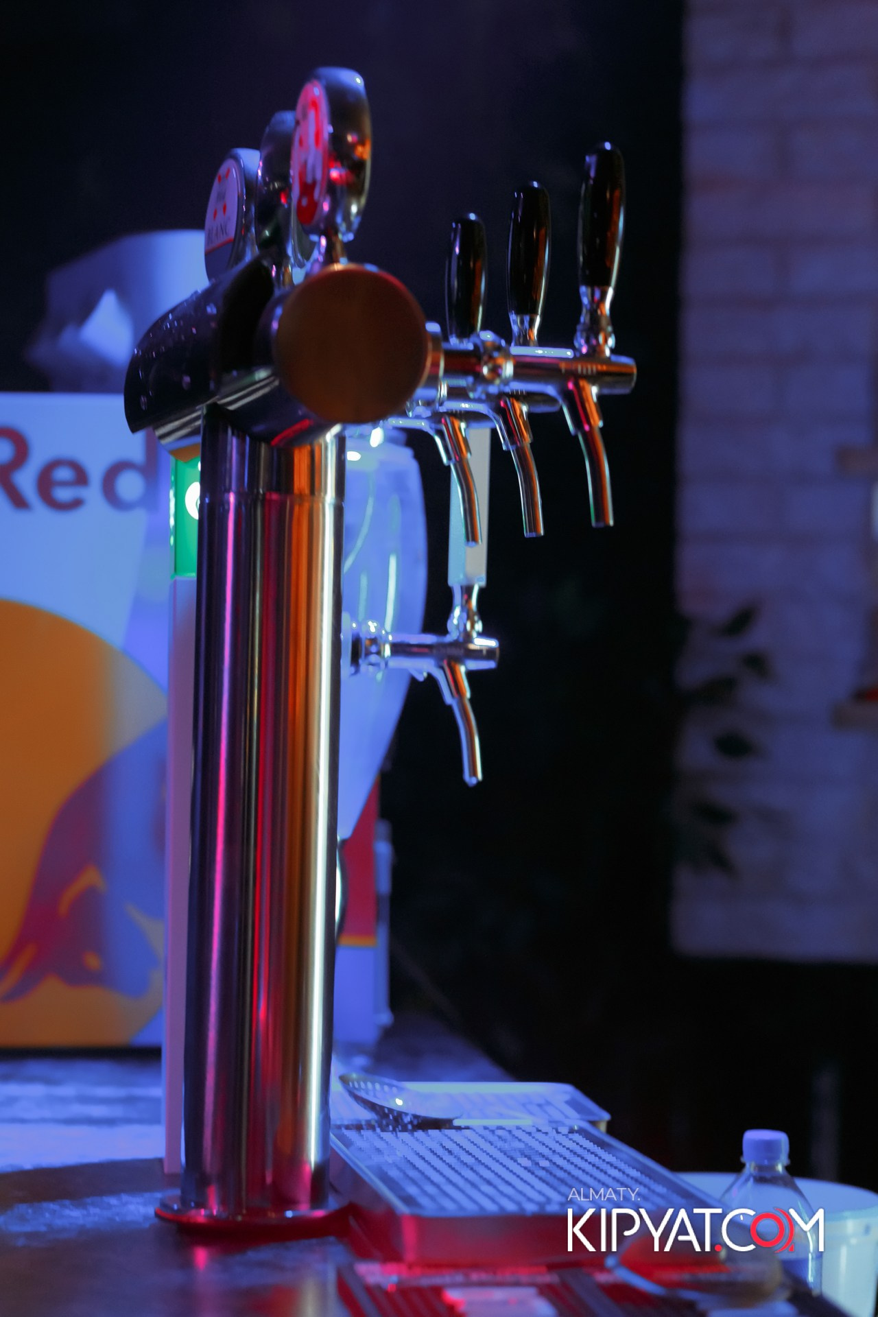 Ухо и Медведь на Саина. КИПЯТКОМ АЛМАТЫ!