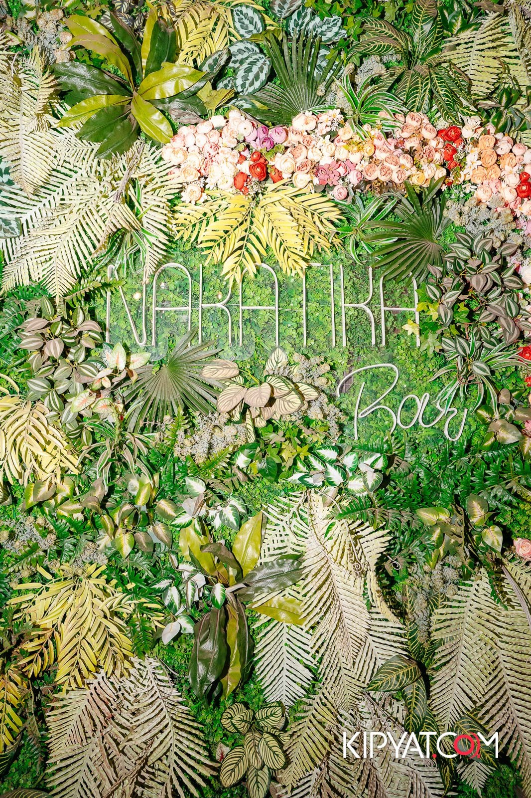 НАКАТИКА. КИПЯТКОМ АЛМАТЫ!