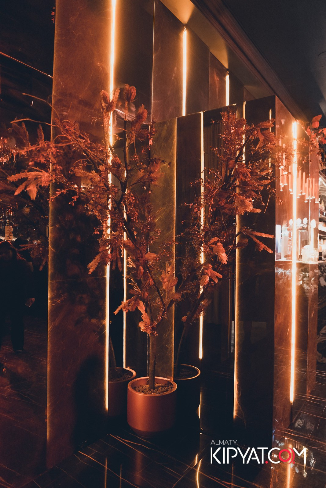 БАР ПАНАЕХАЛИ НА ДОСТЫК. КИПЯТКОМ АЛМАТЫ!