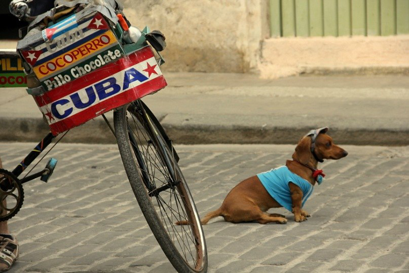 Калейдоскоп путешествий. Семейный и детский фотограф. Москва. Пронина Тома