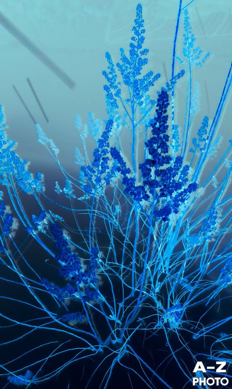 #ФОТОНЕДЕЛИ 02.02.2026. Женский семейный фотограф Тула Москва Захарова Анна