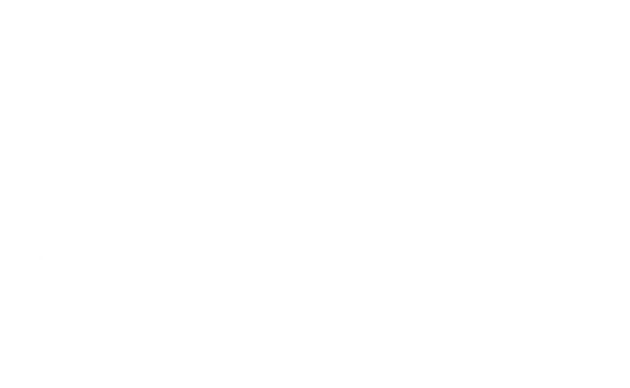 Логотип проекта Богатырёв Альбом