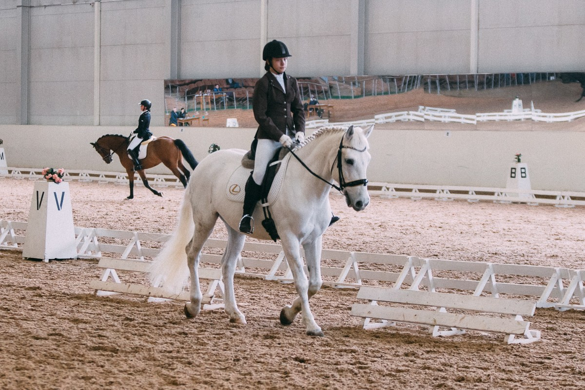 Выездка КСК «Дерби». Репортажный и семейный фотограф в Санкт-Петербурге Тарас Марченко