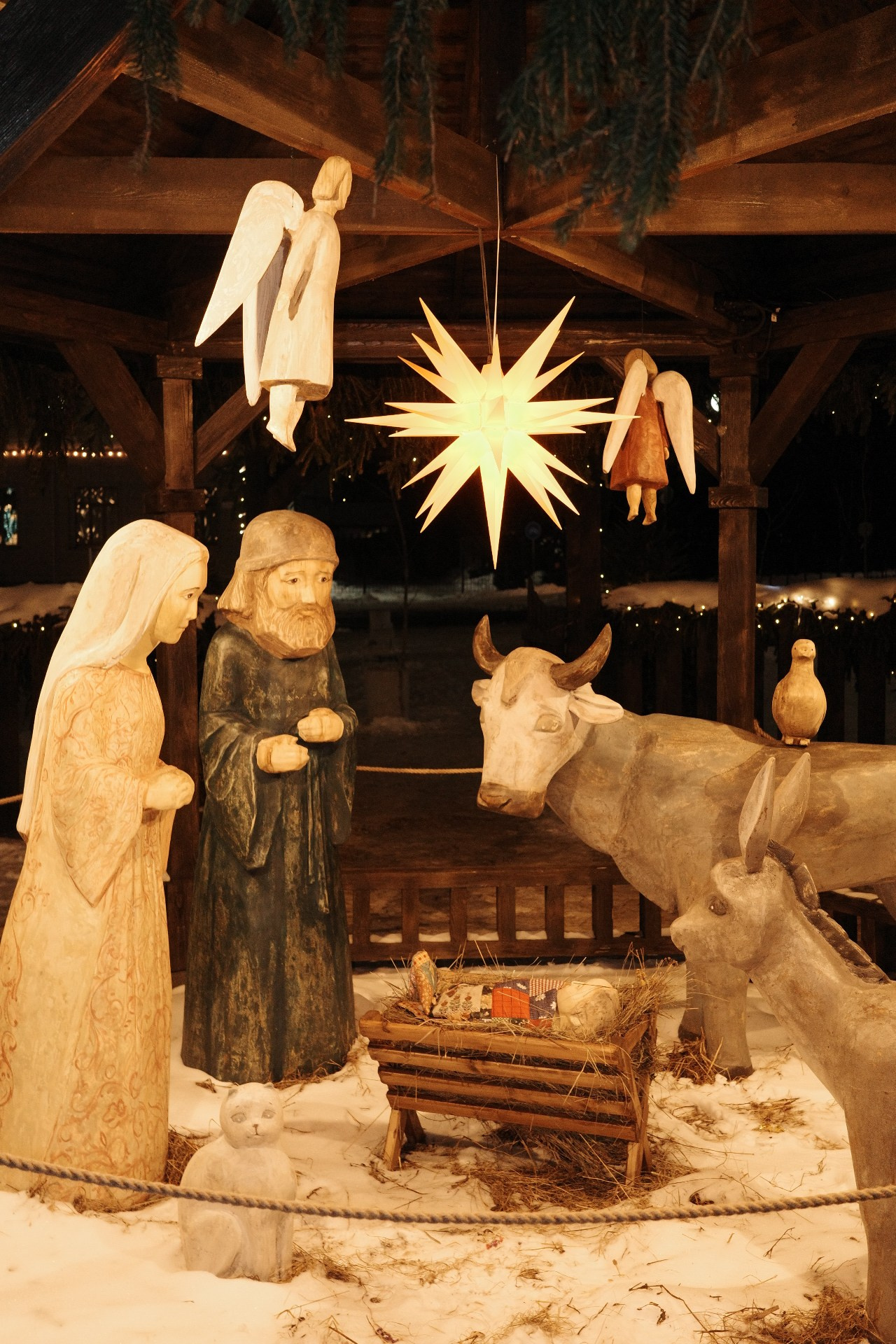 Псков. Фотографъ Сергѣевъ. Поймать мгновеніе