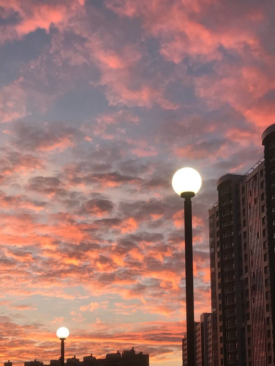 Красуйся, град Петров!. Фотокружок «Видоискатель» ГБОУ СОШ № 291