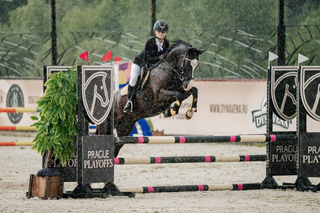 Муниципальные соревнования по конкуру КСК «Виват, Россия!». Куракина Дарья • Конный фотограф
