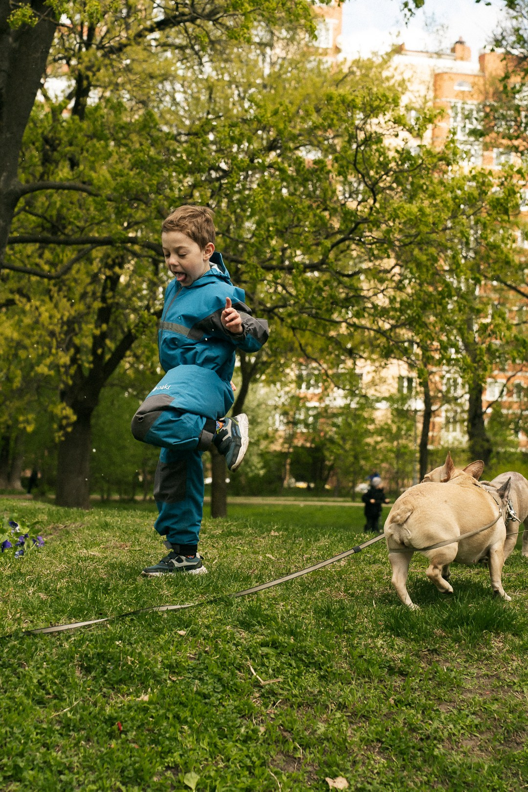 Парад Бульдогов. Axenov_eugene
