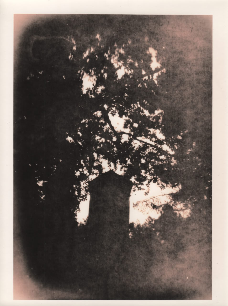 Фото-альтернатива. Данил Андреев, мультидисциплинарный художник, Санкт-Петербург