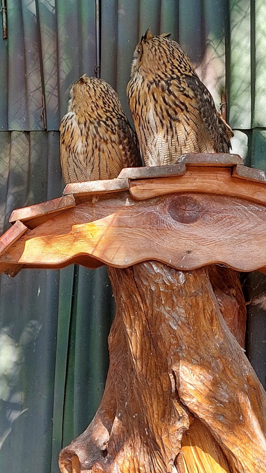 Владивосток 1 | 18-21.09.2025. Галерея Фантим