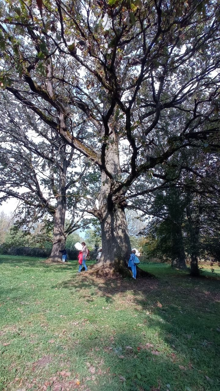 Вязьма. Экскурсионная поездка | 28.09.2024. Галерея Фантим