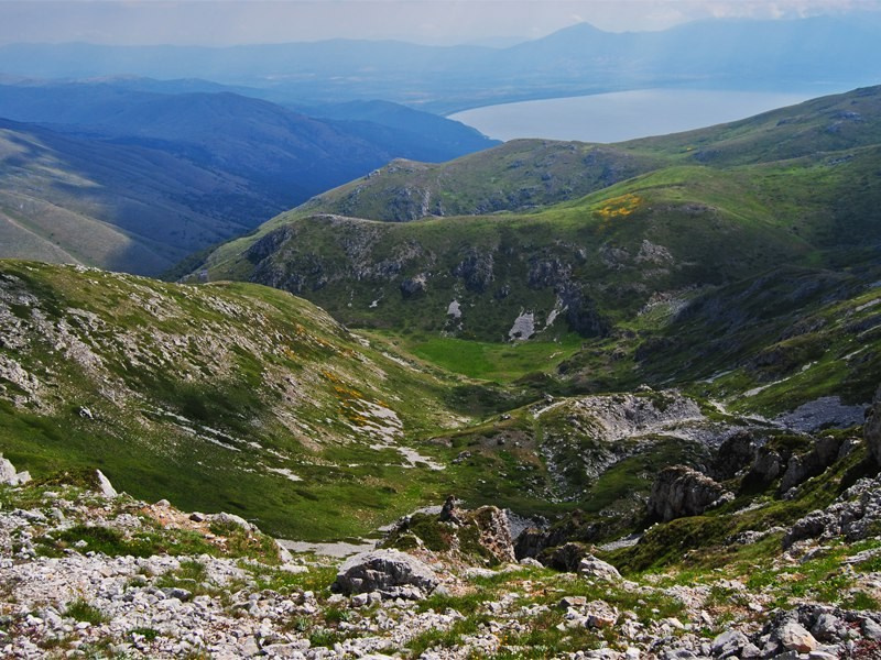 Балканские красоты или Ух ты!) | 2018. Галерея Фантим