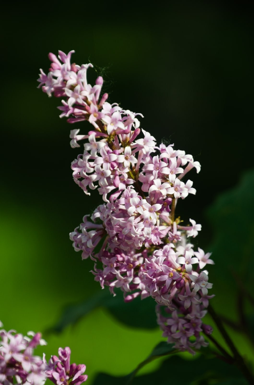 Тюмень | 11-13.06.2022. Галерея Фантим