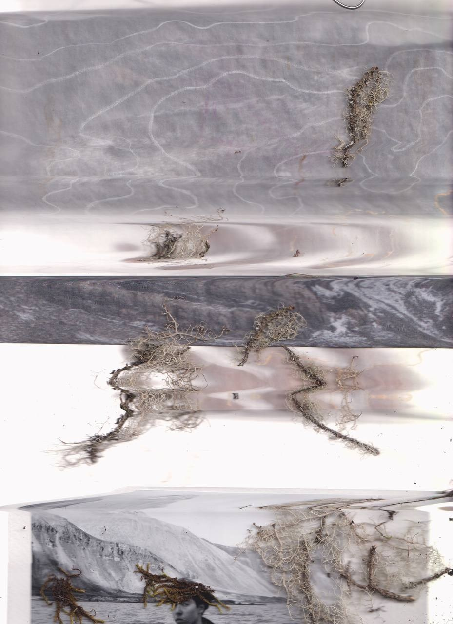 SEDIMENTS AND FOSSILS. Xexexena.ru