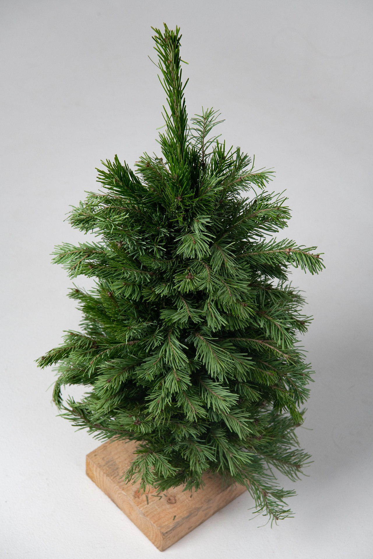 Предметная съемка елок. Фомина Елена Свадебный и семейный фотограф