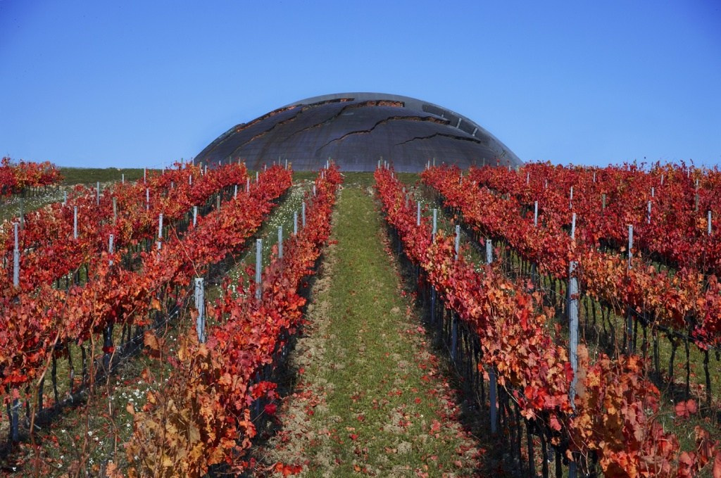 Tenuta Castelbuono — el Carapace (Италия). Фотограф для маркетплейсов Михаил Бове