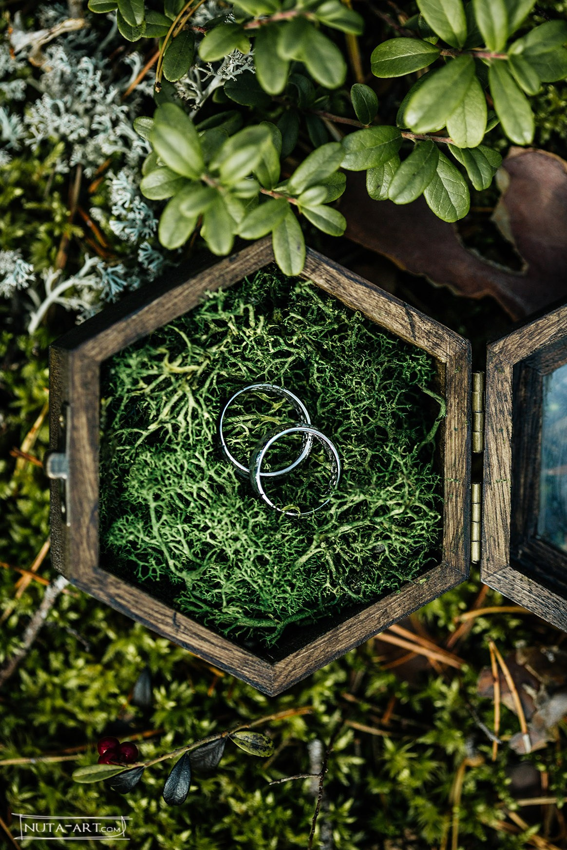 Прогулки. Nuta ART - photo-video creator