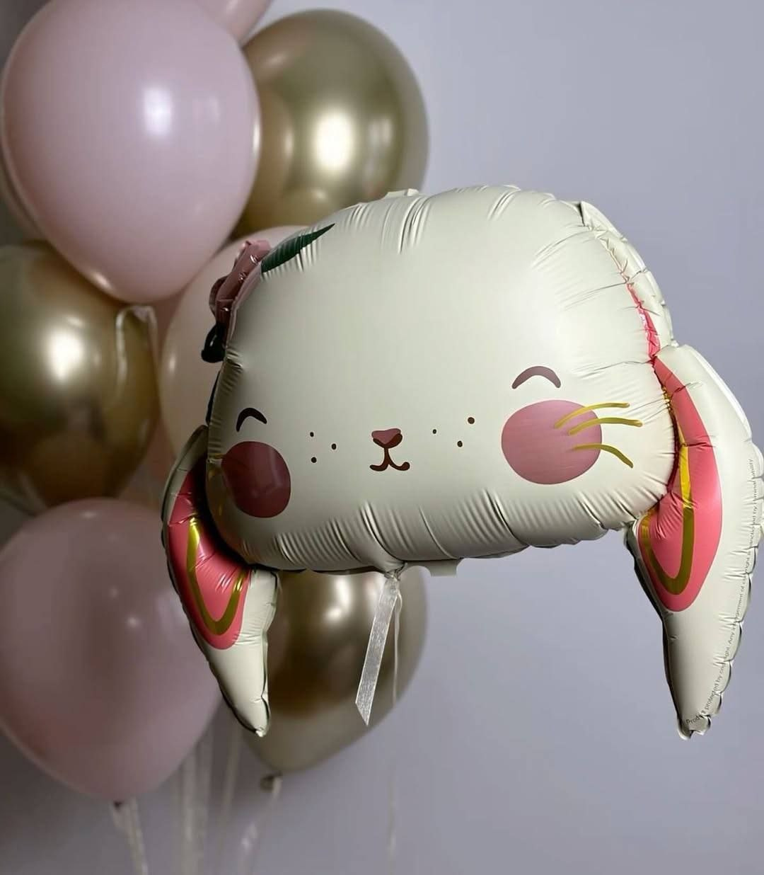 First B-Day. Balloons and decorations in Serbia. Delivery 24/7