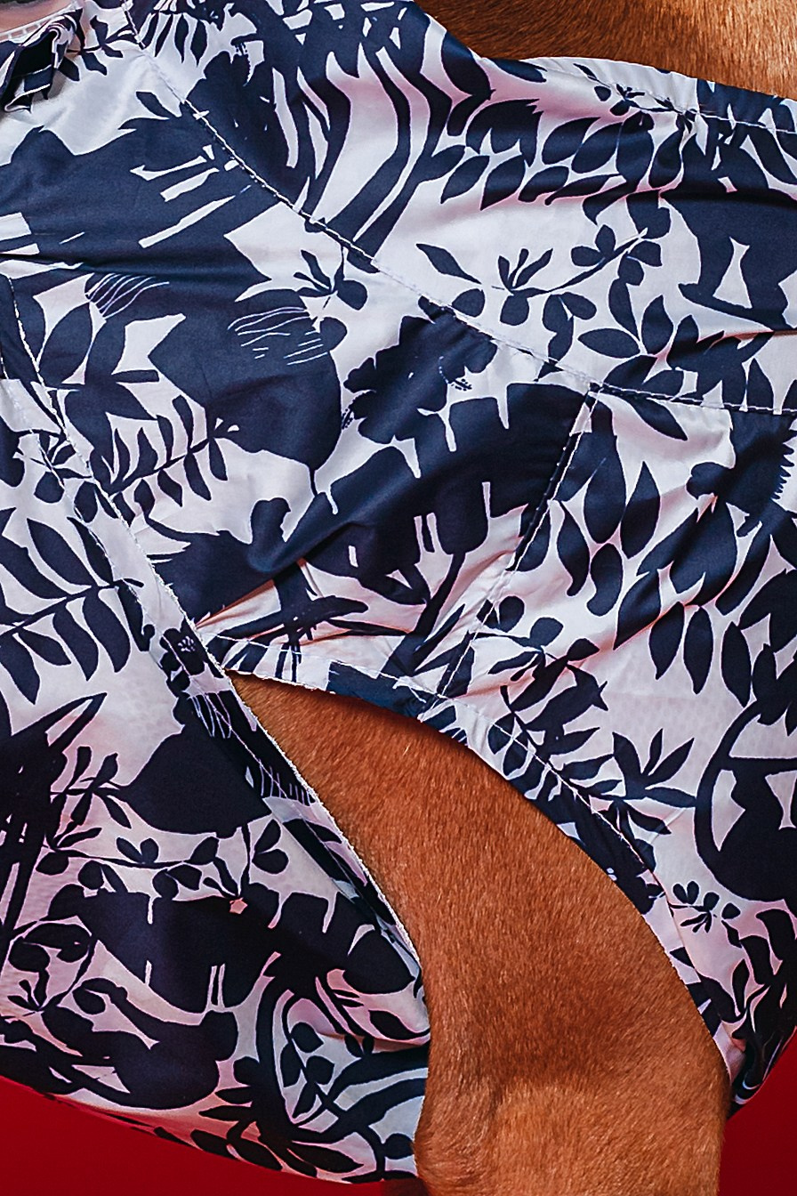 Съемка для бренда TEDDYBOY. Фотограф-анималист Татьяна Степанова