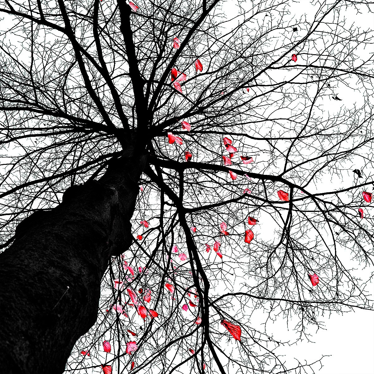 Landscape. Vasiliy Riabovol – Fine Art Photography | Zeit, Raum und Stille