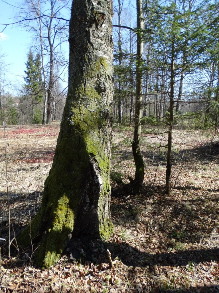 «Весенний переполох» Загородный выезд | 16-17.04.2016. Галерея Фантим