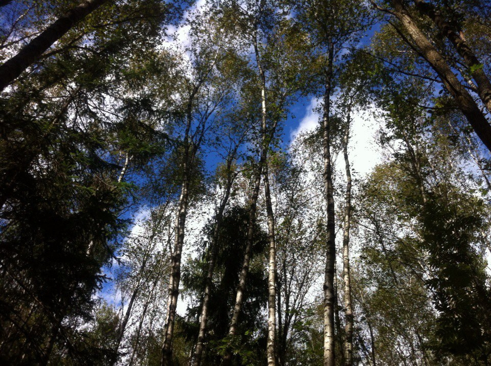 Деревенский выезд 2 | 26-28.08.2016. Галерея Фантим