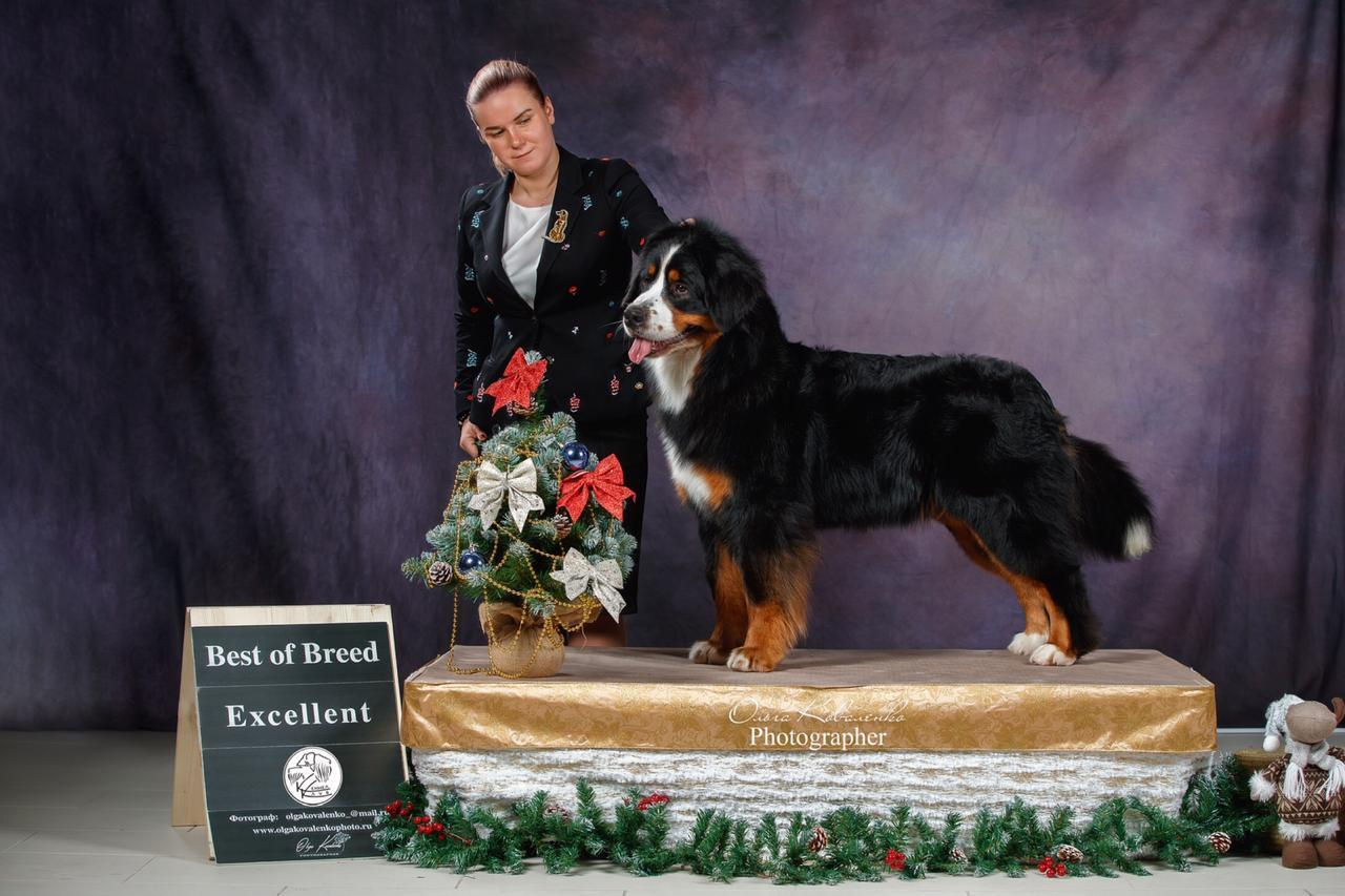 Фотопроект Ольги Коваленко и Светланы Писаревой. Центр развития кинологии Звезда Невы