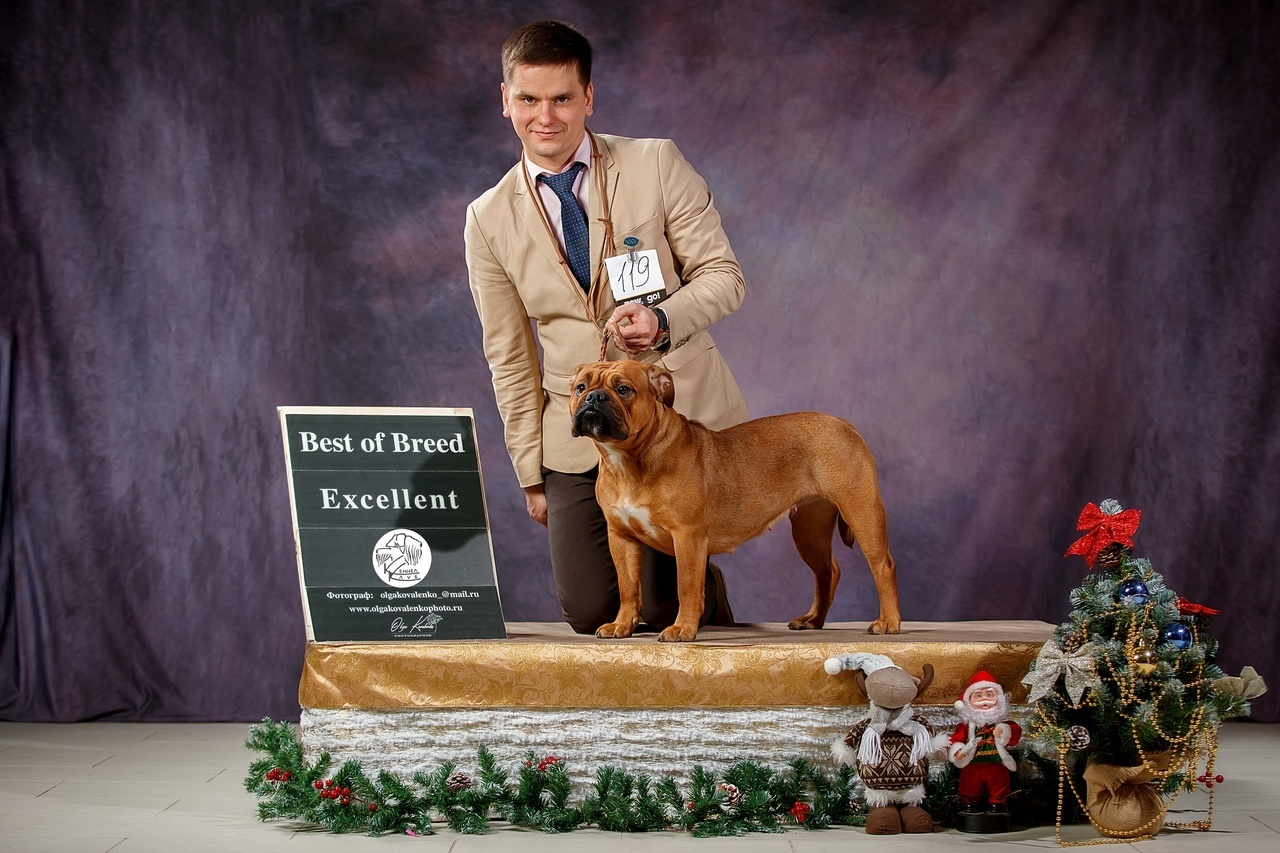 Фотопроект Ольги Коваленко и Светланы Писаревой. Центр развития кинологии Звезда Невы