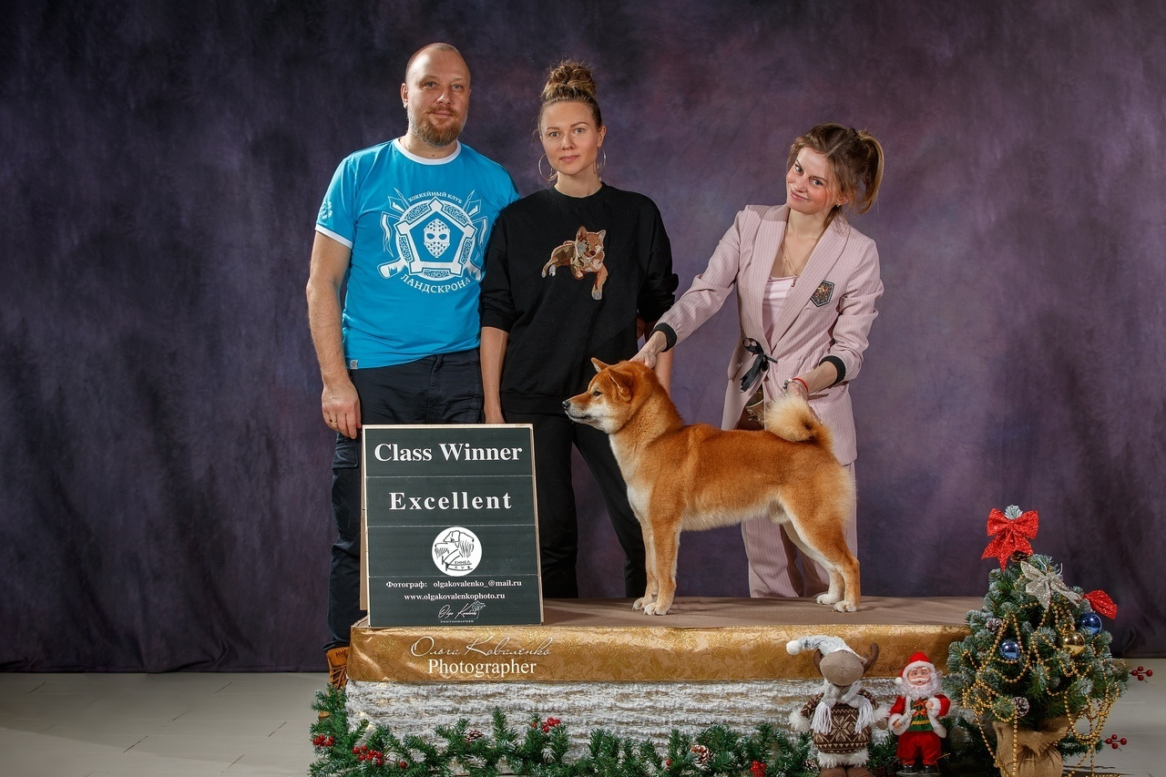 Фотопроект Ольги Коваленко и Светланы Писаревой. Центр развития кинологии Звезда Невы