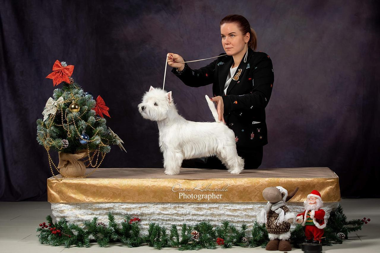 Фотопроект Ольги Коваленко и Светланы Писаревой. Центр развития кинологии Звезда Невы