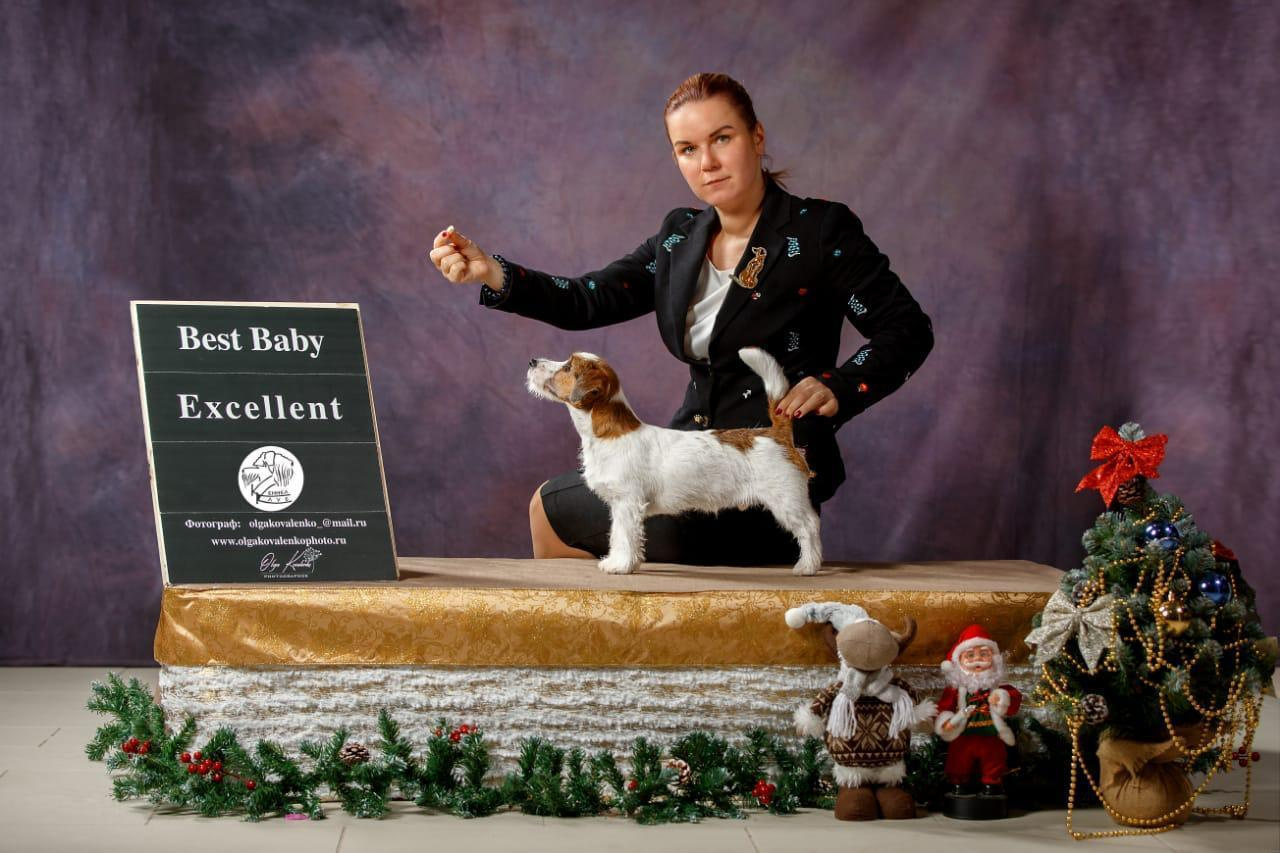 Фотопроект Ольги Коваленко и Светланы Писаревой. Центр развития кинологии Звезда Невы