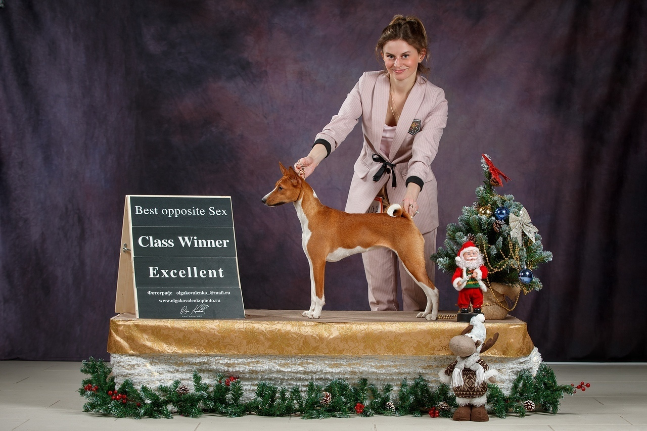 Фотопроект Ольги Коваленко и Светланы Писаревой. Центр развития кинологии Звезда Невы