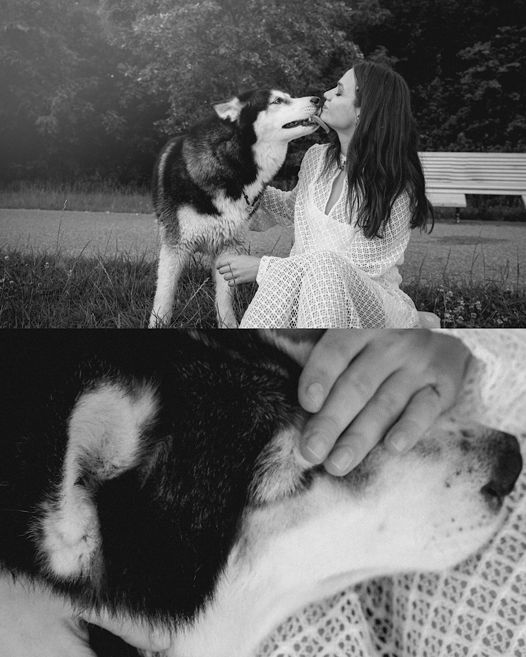 Мария и Вегас. Фотограф анималист в Москве и Санкт-Петербурге Свиридова Анна