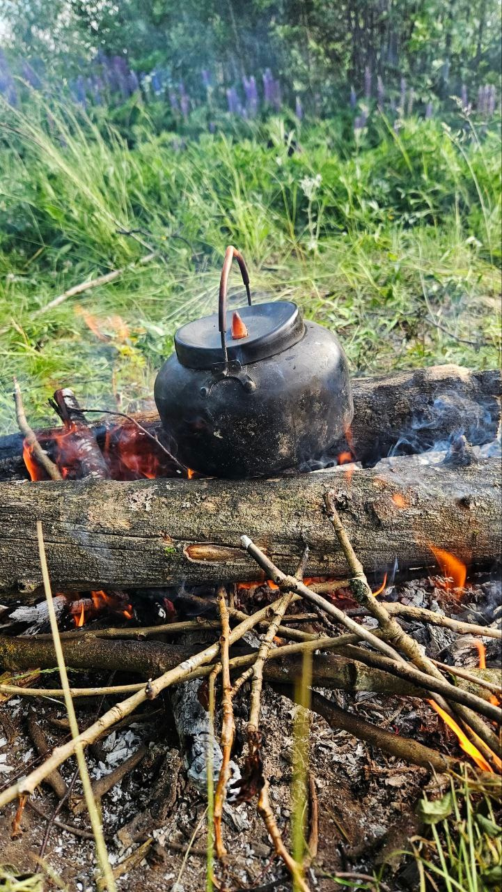 Пленэр в Бутовском лесу. Изостудия «Мы рисуем!» ♥ Южное Бутово, Москва