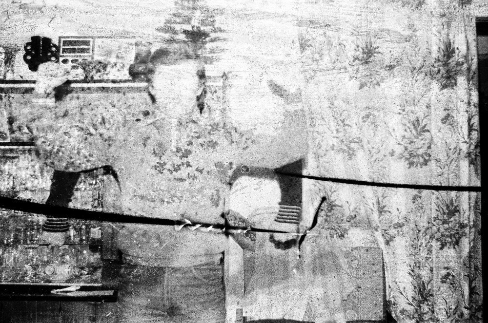 Полина Шелухина «11.11 11:00». Самоорганизация Низина