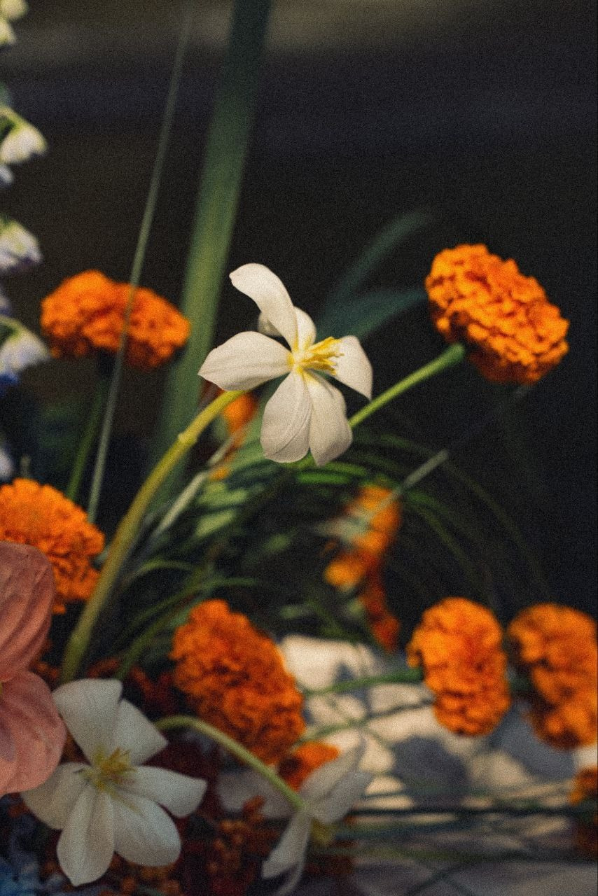 цветы на заказ. цветы. флорист дизайнер. клиентский сервис. головинский район. сао. флорист ховрино. флорист головинскийрайон. флорист клин. оформление цветами. цветочное оформление. оформление живыми цветами. современная флористика. камерная свадьба. большая свадьба. флорист на свадьбу москва. декоратор на свадьбу. концепция свадьбы. ручная работа. маленькая свадьба. бюджетная свадьба. дорогая свадьба. работа на заказ. живые цветы. украшение живыми цветами