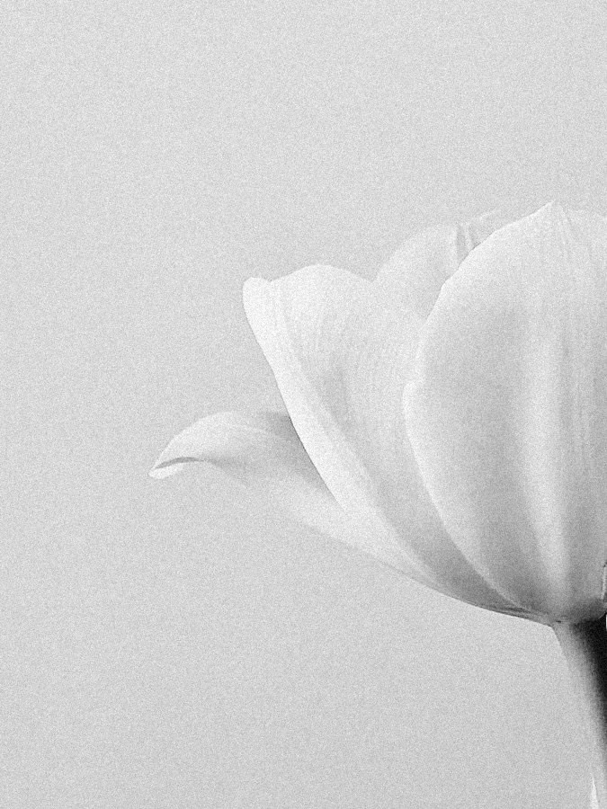 Екатерина Шершнева, фотограф в Москве