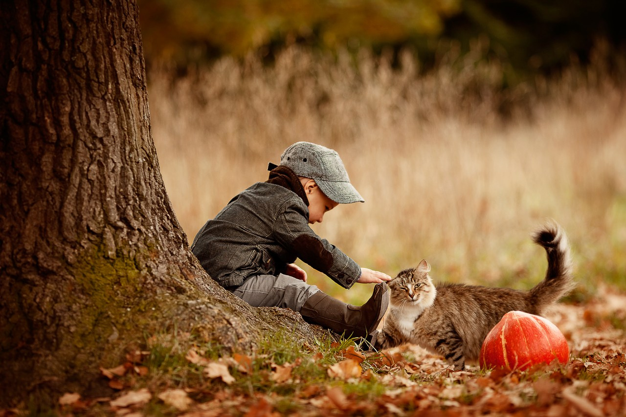 Портфолио. Карнеева Елена. Детский, семейный фотограф