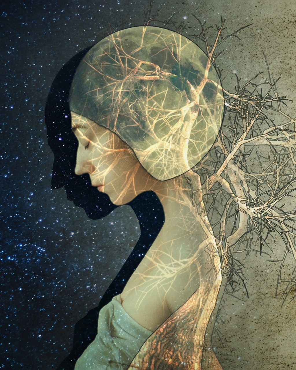 Работы учеников Школы Фотоарта и ретуши Валентины Поповой